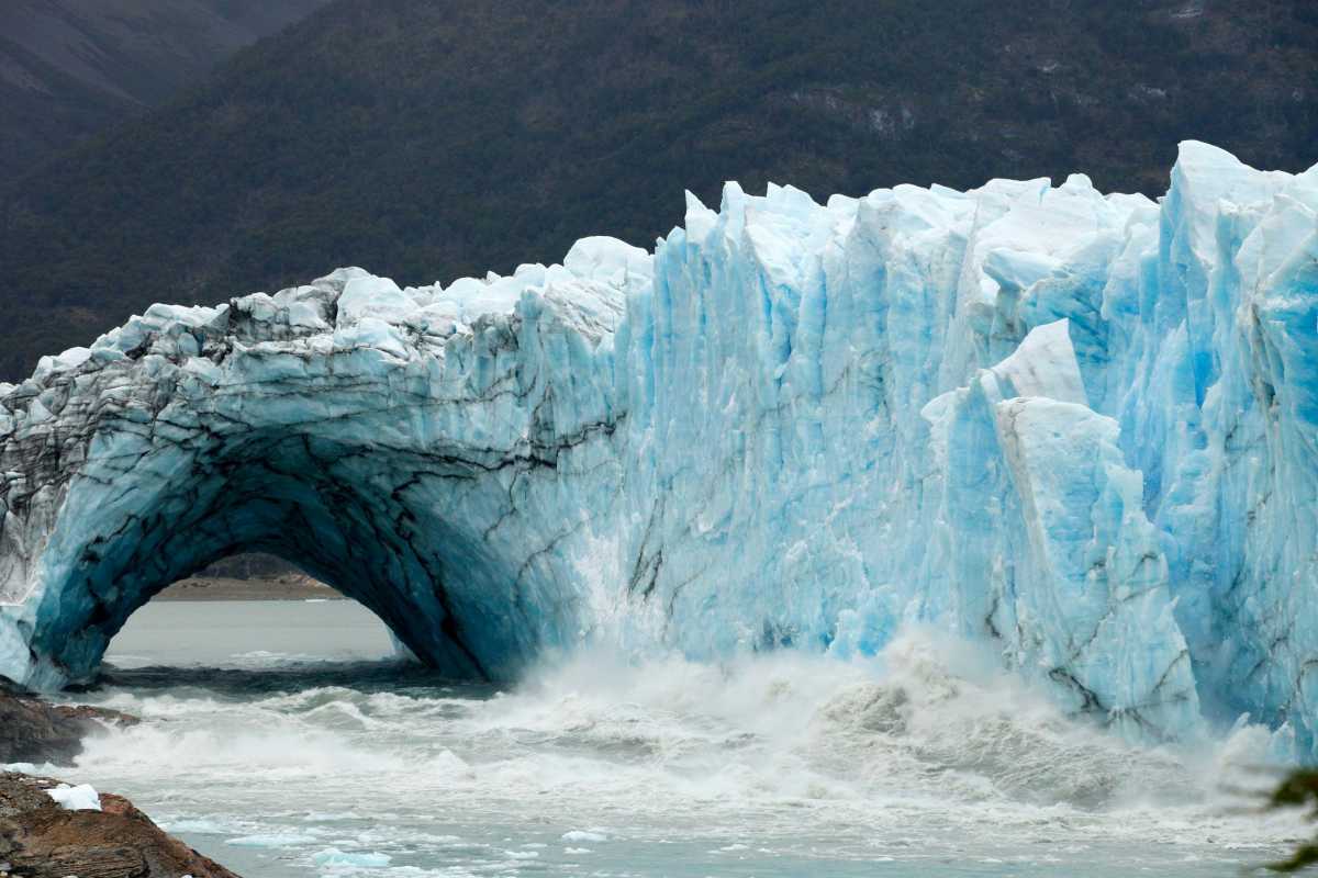 Calafate - Foto NA