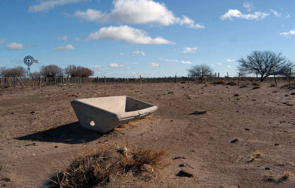 Sequía en Argentina. Foto NA.